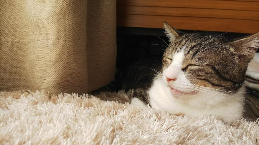 不動産相続対策イメージ